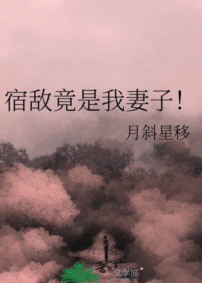 宿敌竟是我妻子!